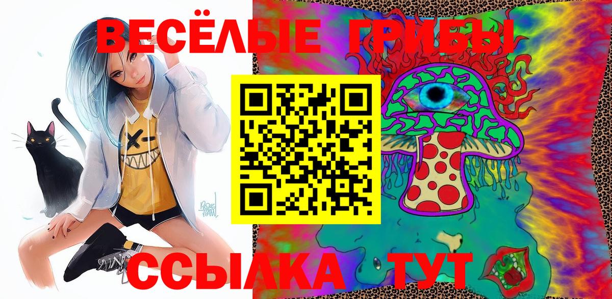 Галлюциногенные грибы GOLDEN TEACHER  Псилоцибиновые грибы MAGIC MUSHROOMS  Вход с VPN  Алейск 