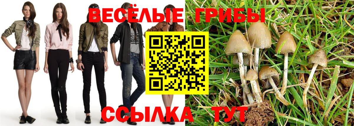 Галлюциногенные грибы GOLDEN TEACHER Алейск